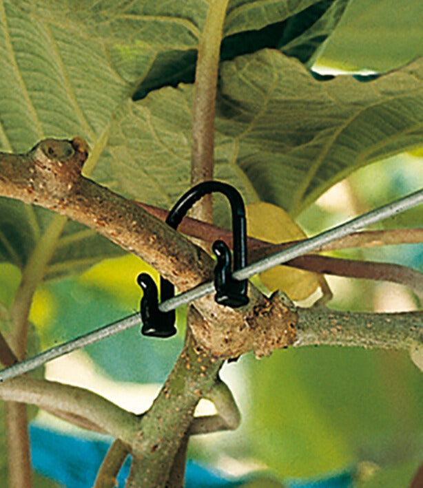 Kiwi Klipon Vine, Trellis & Tree Ties