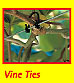 Kiwi Klipon Vine, Trellis & Tree Ties