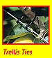 Kiwi Klipon Vine, Trellis & Tree Ties