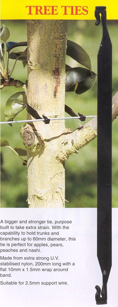 Kiwi Klipon Vine, Trellis & Tree Ties